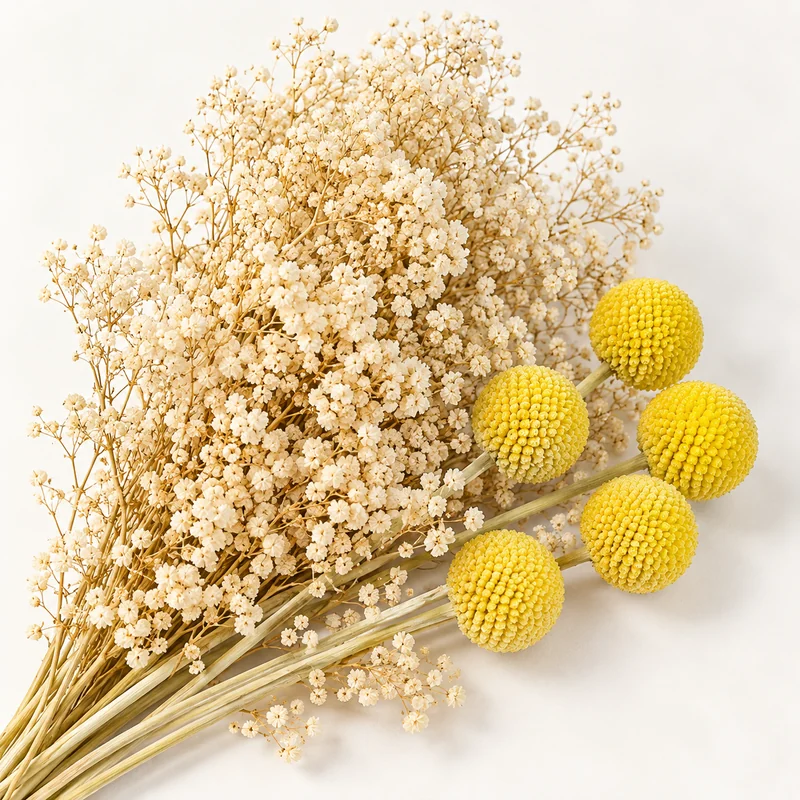 ArtFlower dried baby's breath and yellow craspedia
